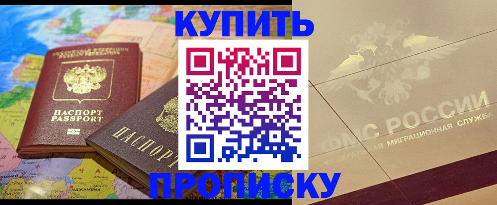 прописка поиск в Светлогорске